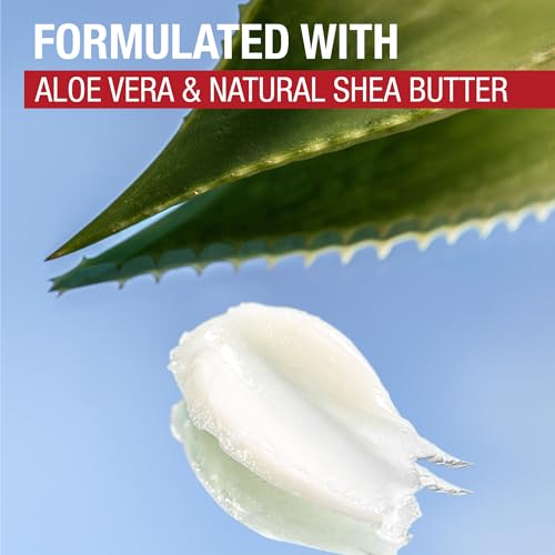 Aquaphor Naturally Inspired Lip Repair Stick with Aloe Vera and Natural Shea Butter,Hydrating Lip Balm Immediately Relieves Dryness,0.17 Oz Stick,(Pack of 2)