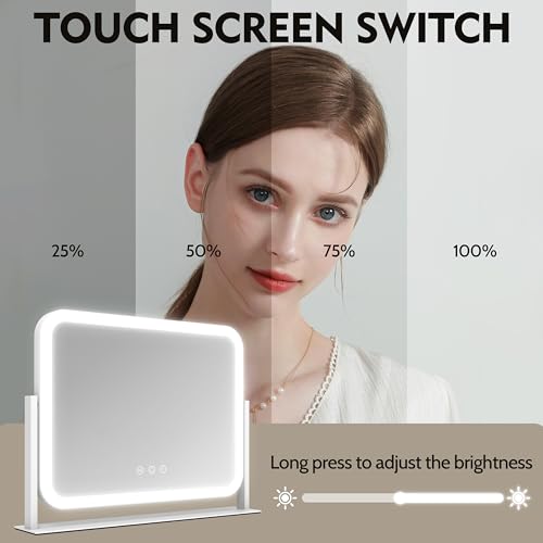ROLOVE Lighted Makeup Mirror 17x13 10X Magnification Touch Control