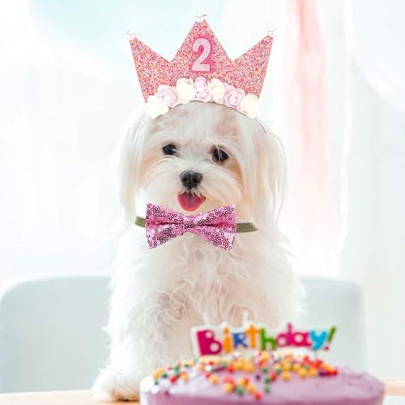 2nd Birthday Crown for Girls - Flower Tiara Headband