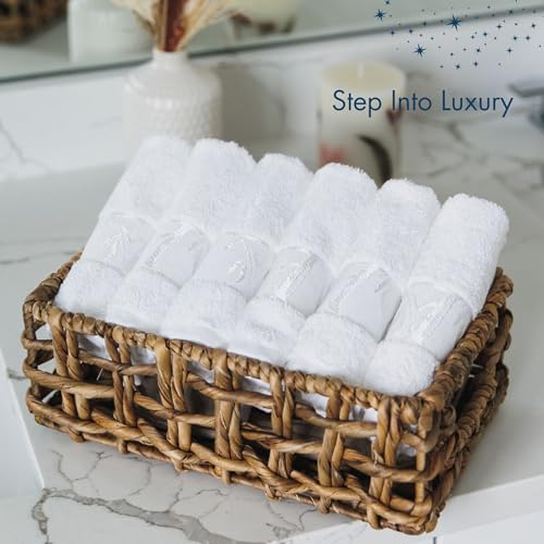 Bamboo Viscose Washcloths Set of 6 | Luxury Soft