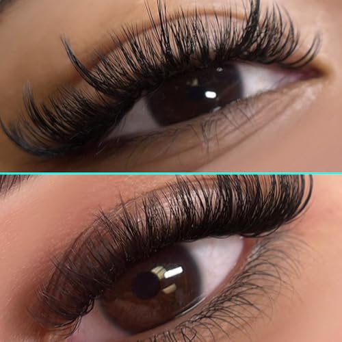 VAVALASH Cashmere Easy Fan Lashes D 0.05 8-15mm