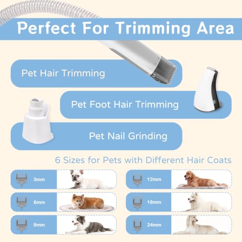 8VR White Dog Grooming Kit Vacuum with 6 Pet Grooming Tools, Quiet & Powerful