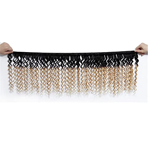 Brazilian Water Wave Human Hair Bundle 28" - 100g T1B27 Blonde