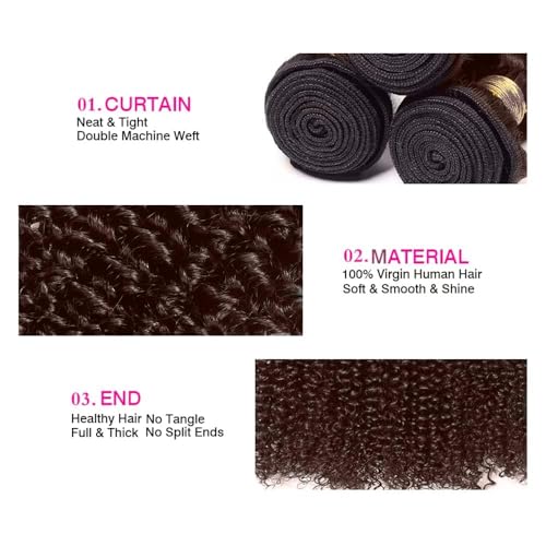 Condescension Brazilian Human Hair Bundles 10 12 14 Inch Jerry Curly Wave 3 Bundles Human Hair 100% Unprocessed Remy Brazilian Virgin Weave Hair Chocolate Brown 4 for Women