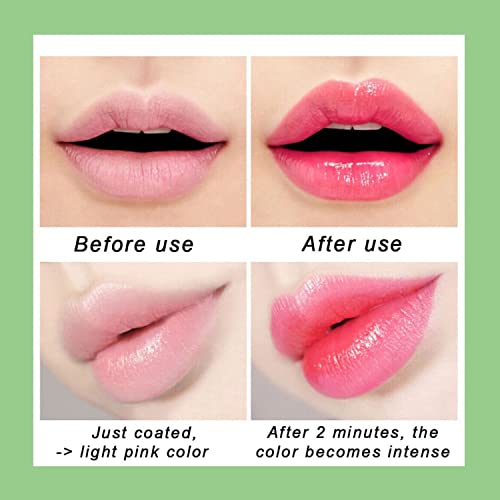 5 Pack Color-Changing Aloe Vera Lipstick - Long Lasting