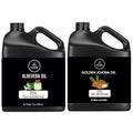 Naturevibe Botanicals Aloevera Oil 32oz and Golden Jojoba Oil 32oz | Oil Combo
