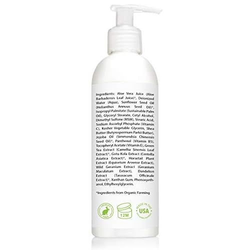 Amara Beauty Vitamin C Face & Body Lotion 15% - with Shea Butter & Jojoba Oil - 8 oz (Pack of 2)
