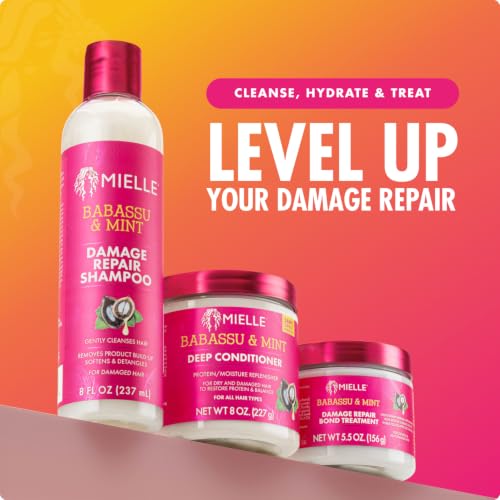 Mielle Organics Babassu & Mint Curl Cream for Defined Soft Textured Hair - 7.5oz