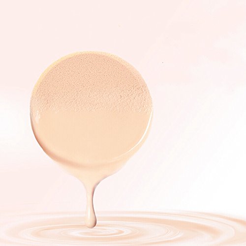 OWLFAVO Round Makeup Sponges with Travel Case - 2pcs