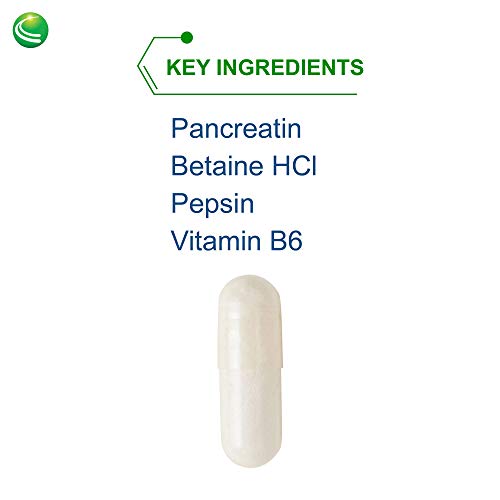 Nutra Biogenesis PanZyme - Betaine HCL with Pepsin, Pancreatin, Lipase and Protease, Cellular Energy, Nervous System and Metabolic Health Support - 180 Capsules