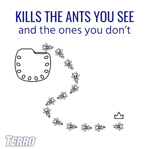 TERRO T334B Indoor Multi-Surface Liquid Ant Bait and Ant Killer - 4 Discreet Ant Bait Stations - Kills Common Household Ants