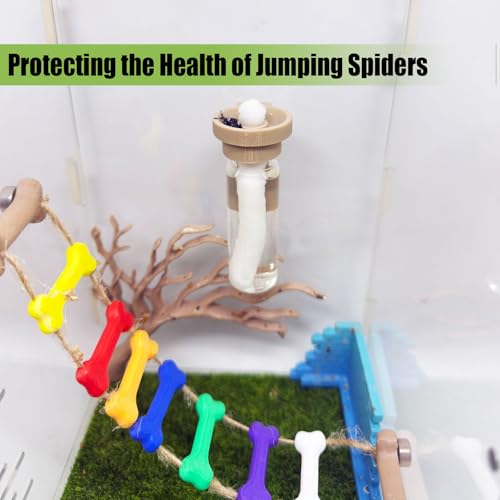 Magnetic Jumping Spider Water Dispenser - 10ML Hydration Feeder