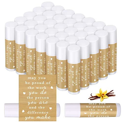 Demissle 12 Pcs Lip Balm You're The Balm Teacher Appreciation Gift Thank You Lip Bulk Teacher Staff Team Party Favors or Women Men Volunteer