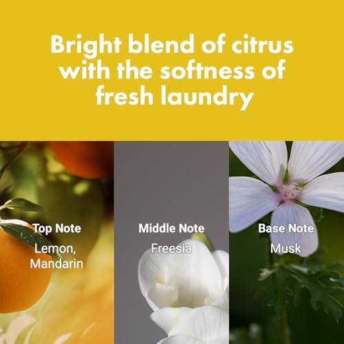 RATED GREEN Detangling Hair Mist | Lemon Freesia Musk