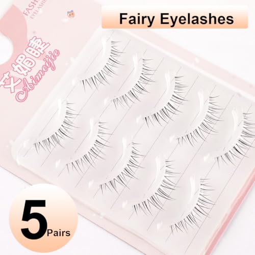 Natural Look False Eyelashes - 5 Pairs Clear Band Daily Wear