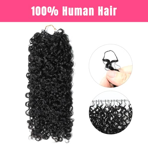 Knotless Curly Crochet Braid Hair 14" | Real Human Hair