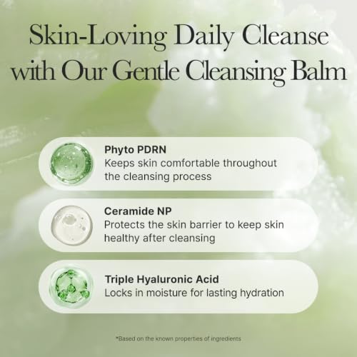 ARENCIA Pore Melt Phyto PDRN Cleansing Balm - Makeup & Pore Care, 90ml