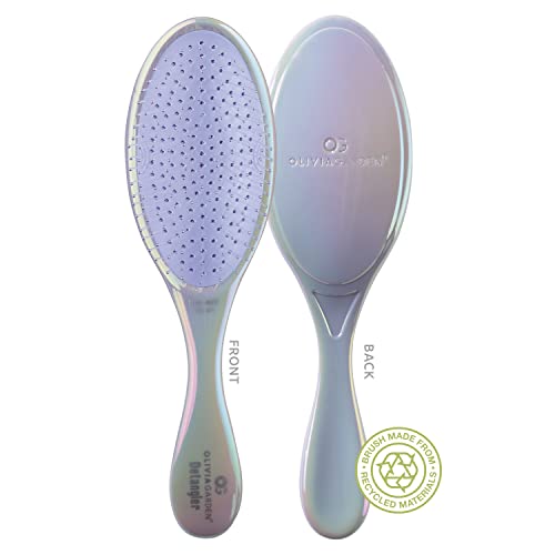 Olivia Garden Aurora Detangler Brush for Wet and Dry Fine to Medium Hair - Detangling Brush for Women, Men, Kids