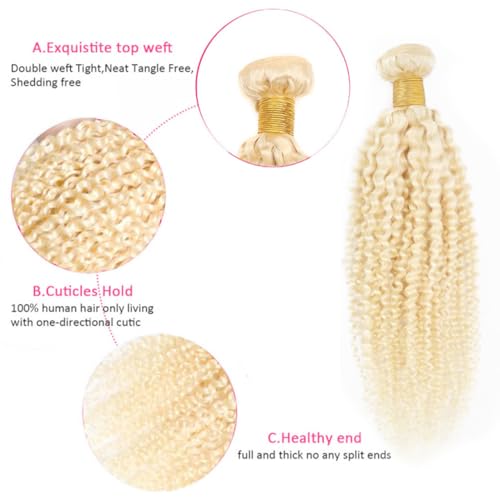 613 Blonde Kinky Curly Human Hair Bundle 26 Inch