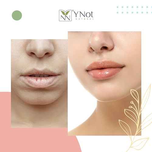 YNN Emu Oil Moisturizing Lip Balm with Extreme SPF50+ Sun Protection - 4-Hour Water Resistant, Fortified with Vitamin E, Amino Acids & Omega 3, 6 & 9 - Y-Not Natural, 15g Stick - 2 Pack