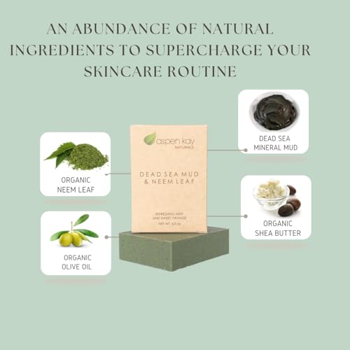Aspen Kay Naturals Dead Sea Mud and Neem Soap - With Organic Shea Butter & Olive Oil. A Wonderful Neem Face Wash for all Skin Types. Handmade Soap - Made in USA. (2 pack)