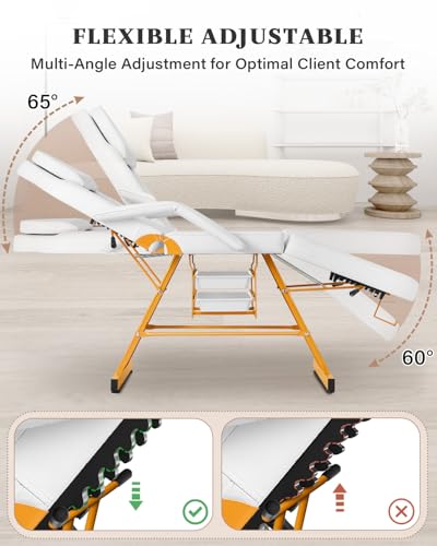 Tattoo Facial Chair Adjustable Backrest Armrests Esthetician Spa Bed