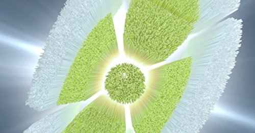 Philips Sonicare W DiamondClean - Genuine Replacement Electric Toothbrush Heads, White, 3 Pack, HX6063/65