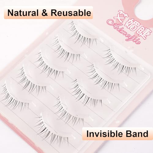 Natural Look False Eyelashes - 5 Pairs Clear Band Daily Wear