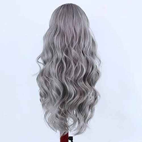 RONGDUOYI 24Inch Grey Mixed White Natural Wave Wig for Women Highlight Lace Front Wig with Natural Hairline Free Part Synthetic Daily Wear Wig