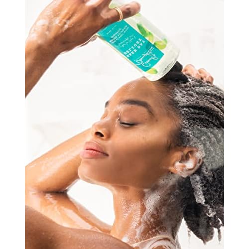 Carol¡¯s Daughter Wash Day Delight Love at First To Foam Sulfate Free Shampoo with Aloe and Micellar Water,Paraben and Silicone Free,Micellar Shampoo for Kinky,Curly Hair,16.9 fl oz,(Pack of 2)