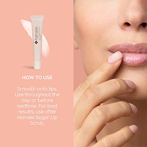 Hanalei Clear Lip Treatment Bundle (Full-Size and Travel-Size 3 Pack) | Made with Kukui Oil, Shea Butter, Agave, and Grapeseed Oil, Soothe Dry Lips (Cruelty free, Paraben free)