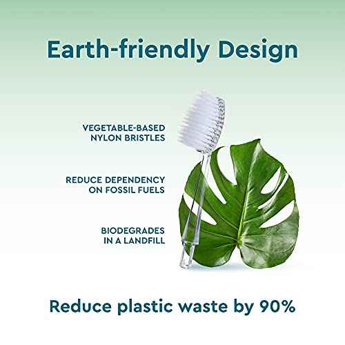 RADIUS Toothbrush Replaceable Brush Heads 2-Count Improve Gum Health & Reduce Gum Issues - Soft Big Head - Pack of 6