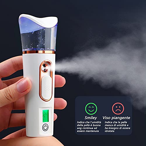 Nano Mist Sprayer with Skin Analyzer & Moisture Tester | Portable Face