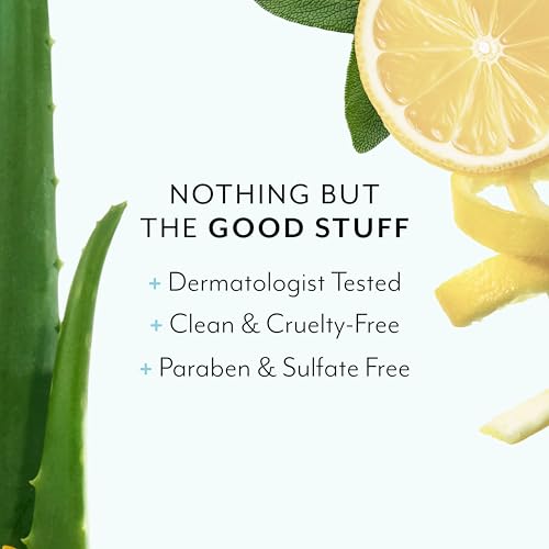 Bliss Lemon & Sage Hand Wash 2 Pack - Hydrating Aloe & Coconut Oil, Gently Cleanses, 12.14 fl oz