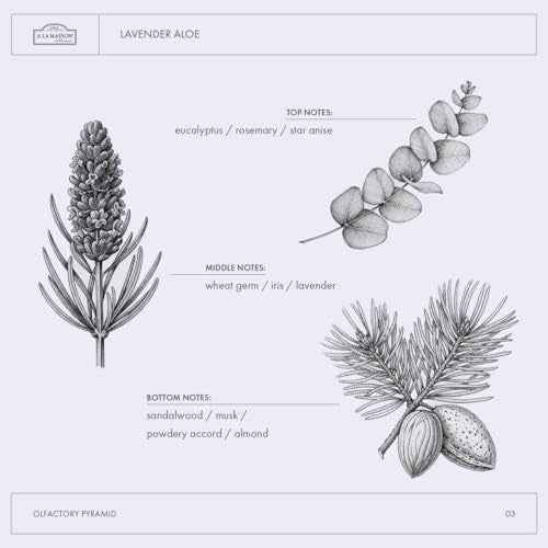 A La Maison de Provence Natural Aluminum-Free Deodorant Traditional French Milled Formula | Long Lasting Safe and Effective | Free of SLS, Parabens and Sulfates (3 x 2.4 oz, Lavender Aloe)