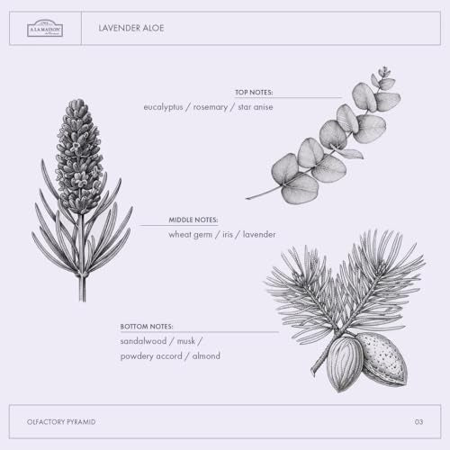 A LA MAISON French Liquid Hand Soap RefilL - Natural Hand Wash Made with Essential Oils - Biodegradable, Plant-Based, Vegan, Cruelty-Free (33.8 Fl Oz Pouch (2 Pack), Lavender Aloe)