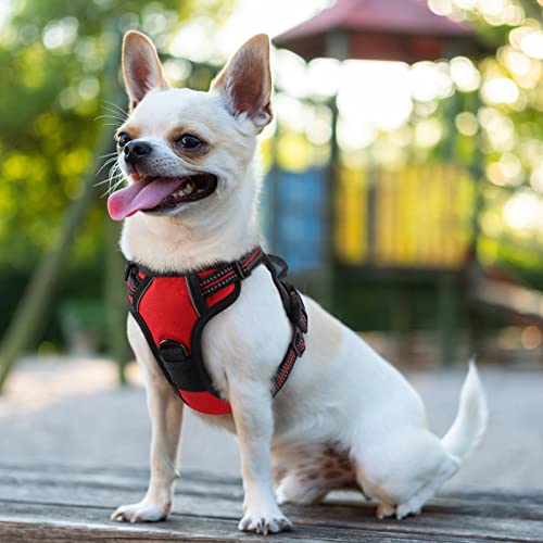 rabbitgoo Dog Harness, No-Pull Pet Harness with 2 Leash Clips, Adjustable Soft Padded Dog Vest, Reflective No-Choke Pet Oxford Vest with Easy Control Handle for Small Dogs, Red,XS