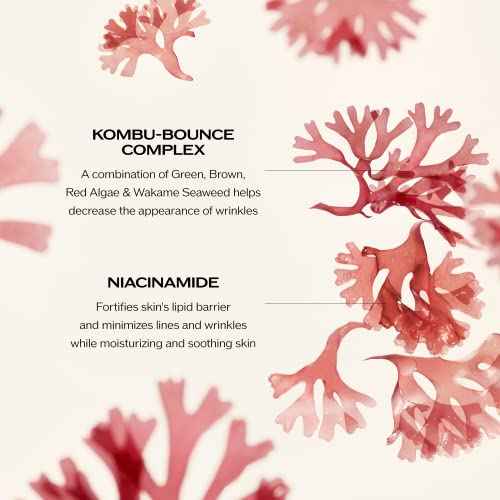 Shiseido Benefiance Wrinkle Smoothing Cream Enriched - Large Size, 75 mL - Anti-Aging Moisturizer for Dry to Very Dry Skin - Visibly Corrects Wrinkles & Intensely Hydrates - Non-Comedogenic