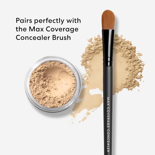 bareMinerals Well Rested Under Eye Brightener SPF 20