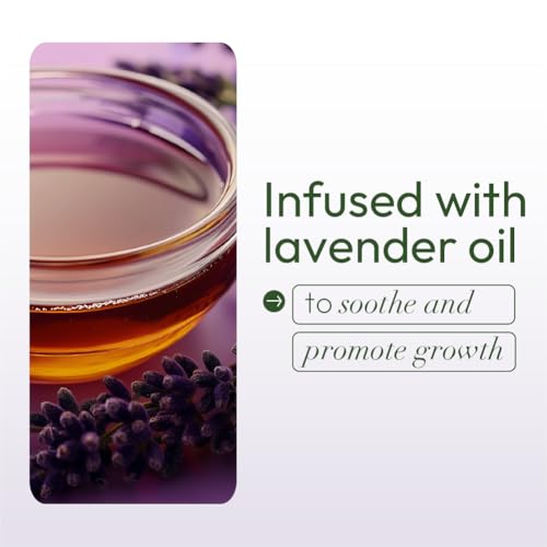 ORS Olive Oil Braidzone Edge & Braiding Gel with Lavender, Acai & Biotin for Hair & Scalp 8 oz