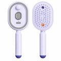 Electric Nano Mist Hair Brush, Rechargeable 3-in-1 Detangler
