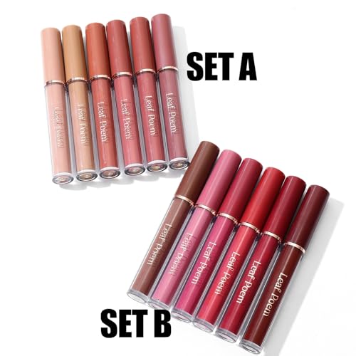 MooGlamor Lip Gloss Set - 6 Non-Sticky Shades with Soft Brush