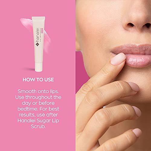 Hanalei Lip Treatment Bundle (Rose and Mauve Pink) | Made with Kukui Oil, Shea Butter, Agave, and Grapeseed Oil, Soothe Dry Lips (Cruelty free, Paraben free)