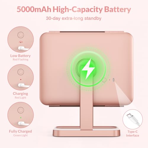 EASEHOLD Rose Gold Rechargeable Lighted Makeup Vanity Mirror with 116 LEDs & Magnification
