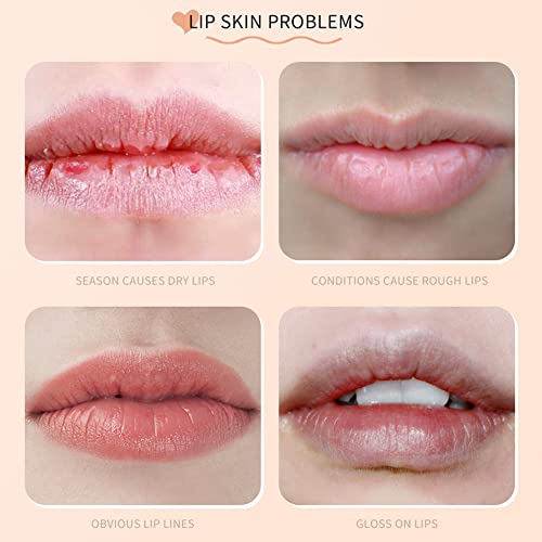 4Pcs Fruit Lip Balm Set - Natural Organic Lipsticks, Long Lasting Nutritious Moisturizer, Citrus, Peach, Strawberry, Cantaloupe Flavors