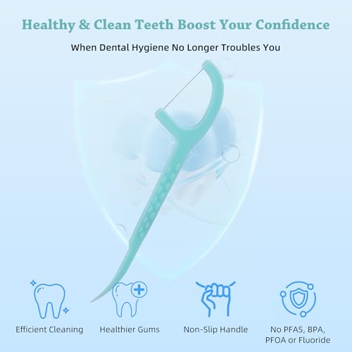 KSIA Dental Floss Picks, 480 Count with 8 Portable Cases