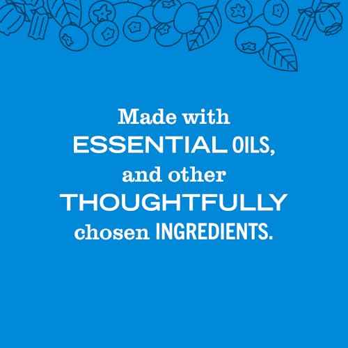 Mrs. MEYER'S CLEAN DAY Liquid Hand Soap, Blueberry Scent, 12.5 Ounce Bottle