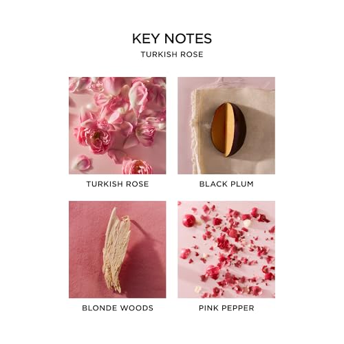 NEST New York Perfume Oil Discovery Set - Includes Balinese Coconut, Turkish Rose, Seville Orange, Indian Jasmine & Madagascar Vanilla - Vegan & Cruelty Free