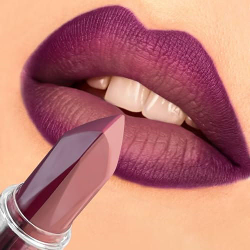 2-in-1 Matte Metallic Lipstick & Lip Liner | Waterproof Long Wear
