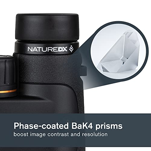 Celestron – Nature DX 8x42 Binoculars – Outdoor and Birding Binocular – Fully Multi-coated with BaK-4 Prisms – Rubber Armored – Fog & Waterproof Binoculars